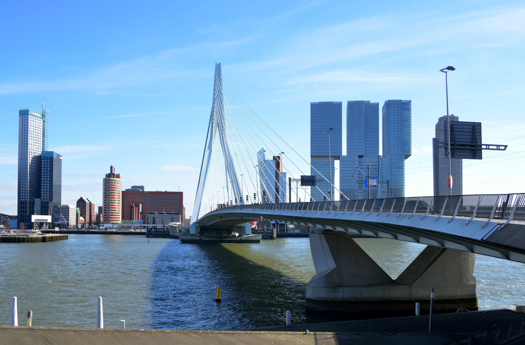 PragmatiQ Header-1